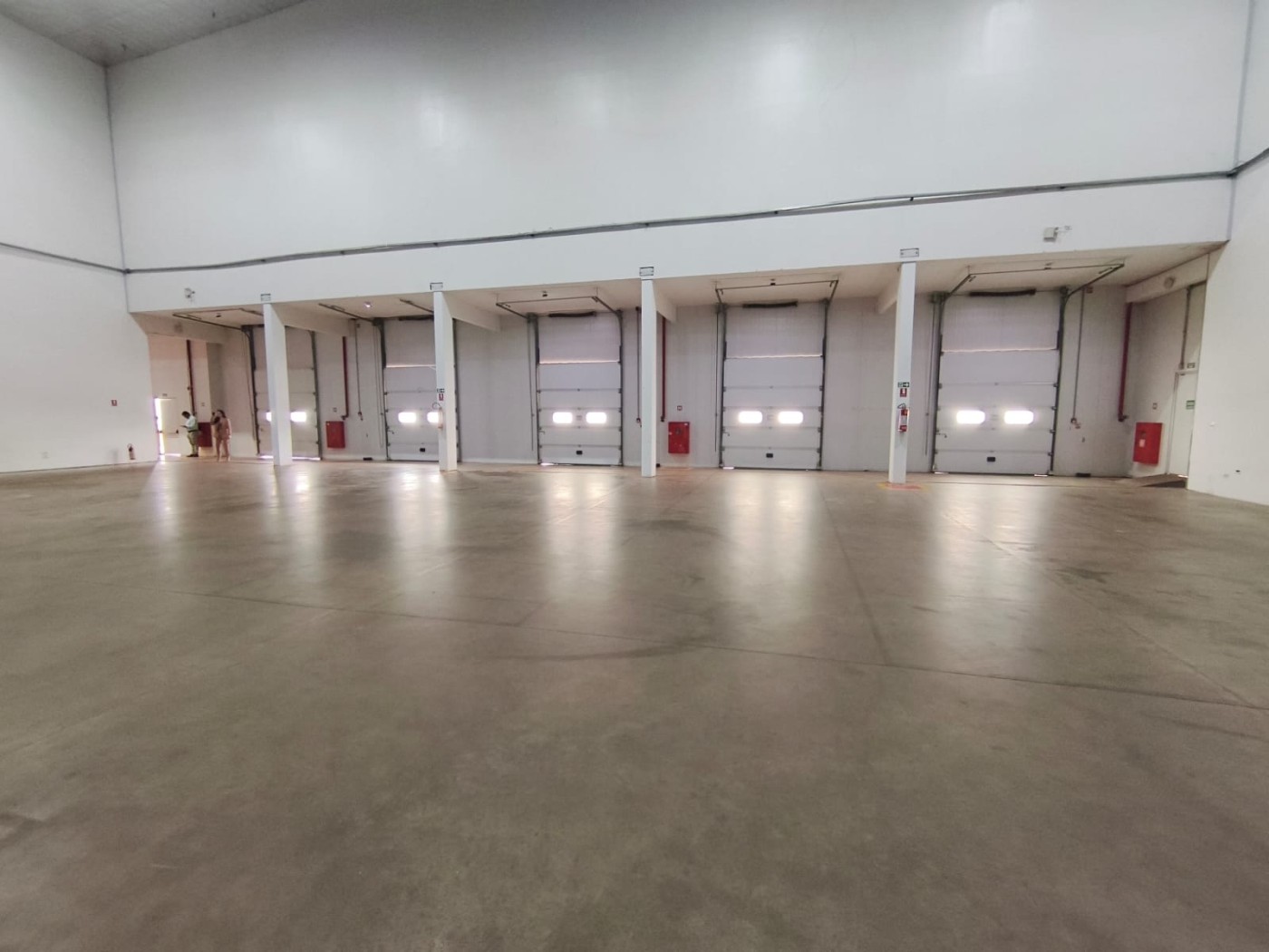 Depósito-Galpão, 4800 m² - Foto 5