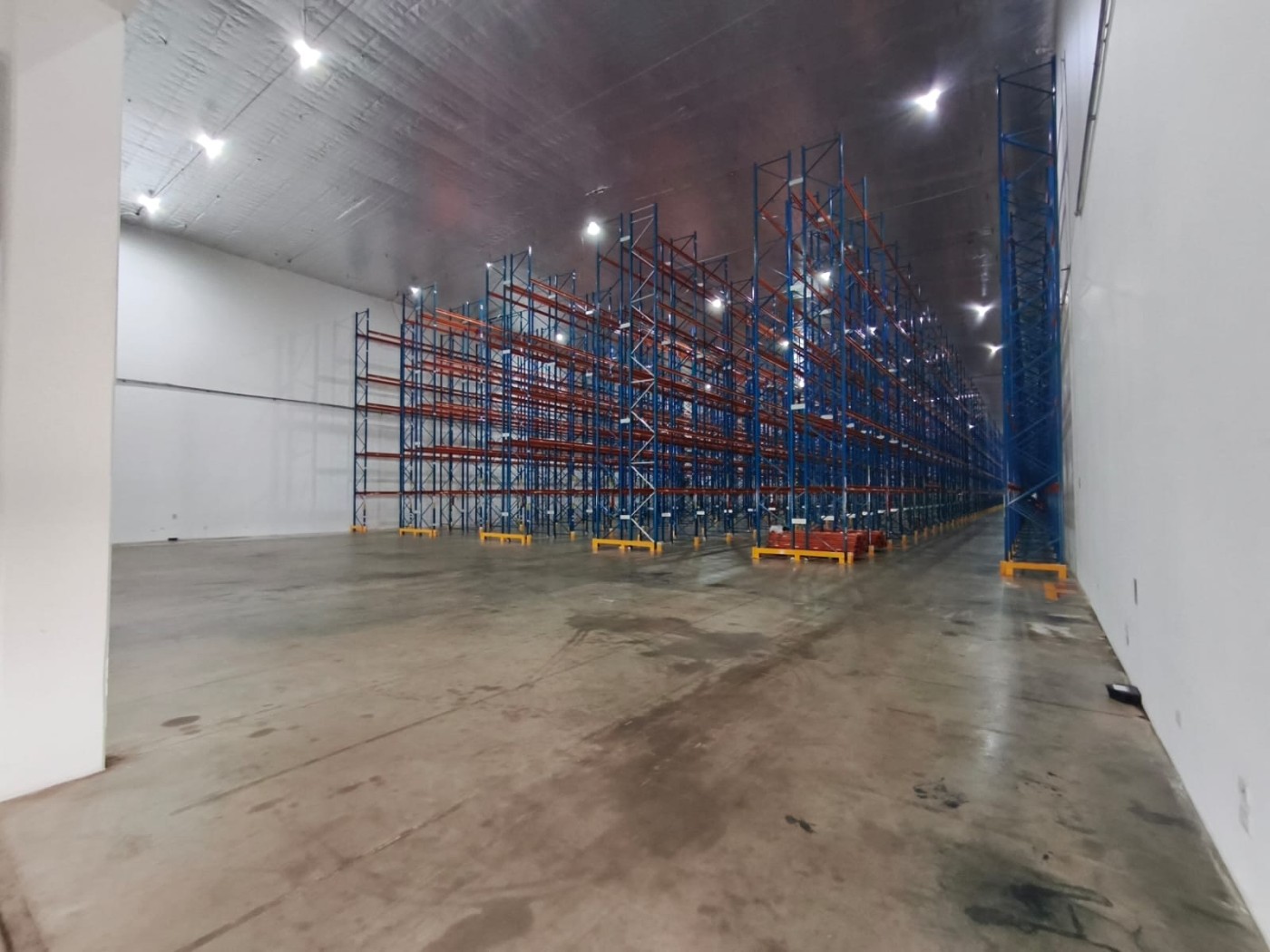 Depósito-Galpão, 4800 m² - Foto 8